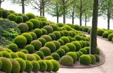 topiary1800.jpg