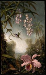 MJ_Heade_Orchids_and_Spray_Orchids_with_Hummingbird.jpg