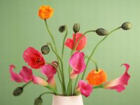 Poppies_and_Calla_Lilies_Wallpaper_qosa4.jpg