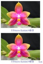P.Princess kaiulani-sib.jpg