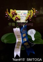 Phal.-Chienlung-Sweet-Parrot--'Nan#15'-SM-TOGA.jpg