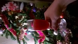 WP_20170101_001.jpg