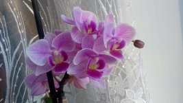 20161220_092557[1].jpg