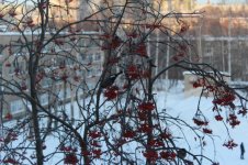 IMG_1750.jpg