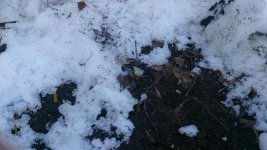DSC_0562.jpg
