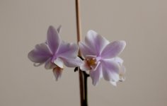IMG_3502.jpg
