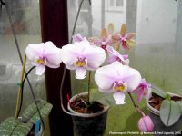06ph0236.jpg