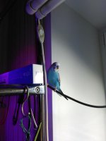 IMG_20170414_104554.jpg