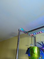 IMG_20170414_104710.jpg