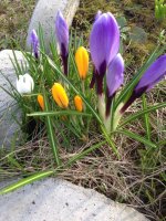 IMG_9747.jpg