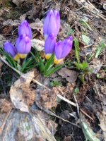 IMG_9746.jpg