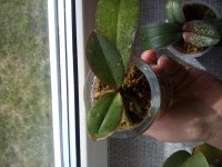 20170421_145757.jpg