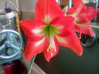 20170426_121443.jpg