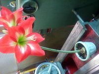 20170426_121455.jpg
