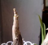 Resize of 010520171130.jpg