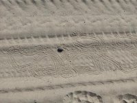 IMG_20170507_152514.jpg