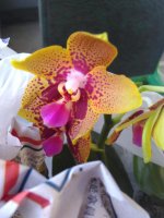 IMG_20170515_194253.jpg