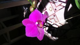 DSC_1968.jpg