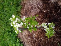 20170521_160929.jpg