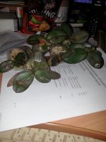 20170524_214109.jpg