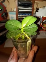20170525_215404.jpg