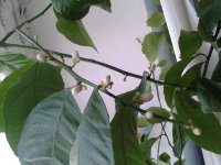 20170529_142915.jpg