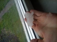 20170602_134940.jpg