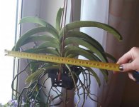 20170618_103500.jpg
