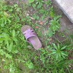 IMG_1471.jpg IMG_1471.jpg
