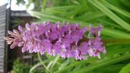 DSC_1159.jpg