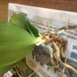 IMG_1035-14-07-17-16-56.jpg