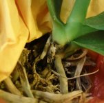 IMG-20170714-WA0055.jpg