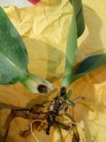 IMG-20170714-WA0064.jpg