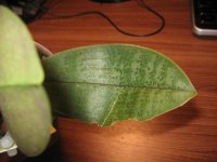IMG_5914.jpg