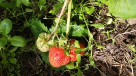 20160702_131040.jpg