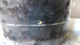 P_20170802_171759_LL.jpg
