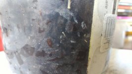 P_20170802_171821_LL.jpg
