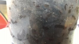 P_20170802_171900_LL.jpg