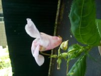 20170803_190124.jpg