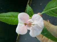 20170803_190139.jpg