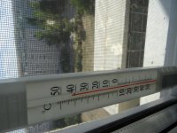 DSC01994.jpg