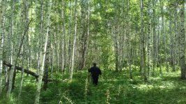 IMG-20170710-WA0002.jpg