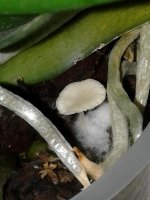 20170628_185731.jpg