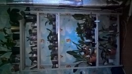 WP_20170803_20_12_34_Pro.jpg