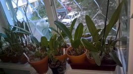 WP_20170803_20_12_42_Pro.jpg