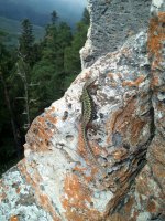 IMG_20170825_110251.jpg