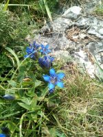 IMG_20170825_110541.jpg