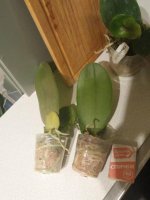 IMG_1532.jpg