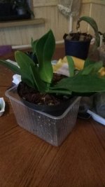 IMG_20170907_001158.jpg