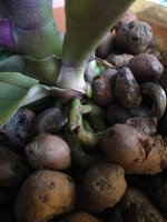 IMG_20170916_170917.jpg